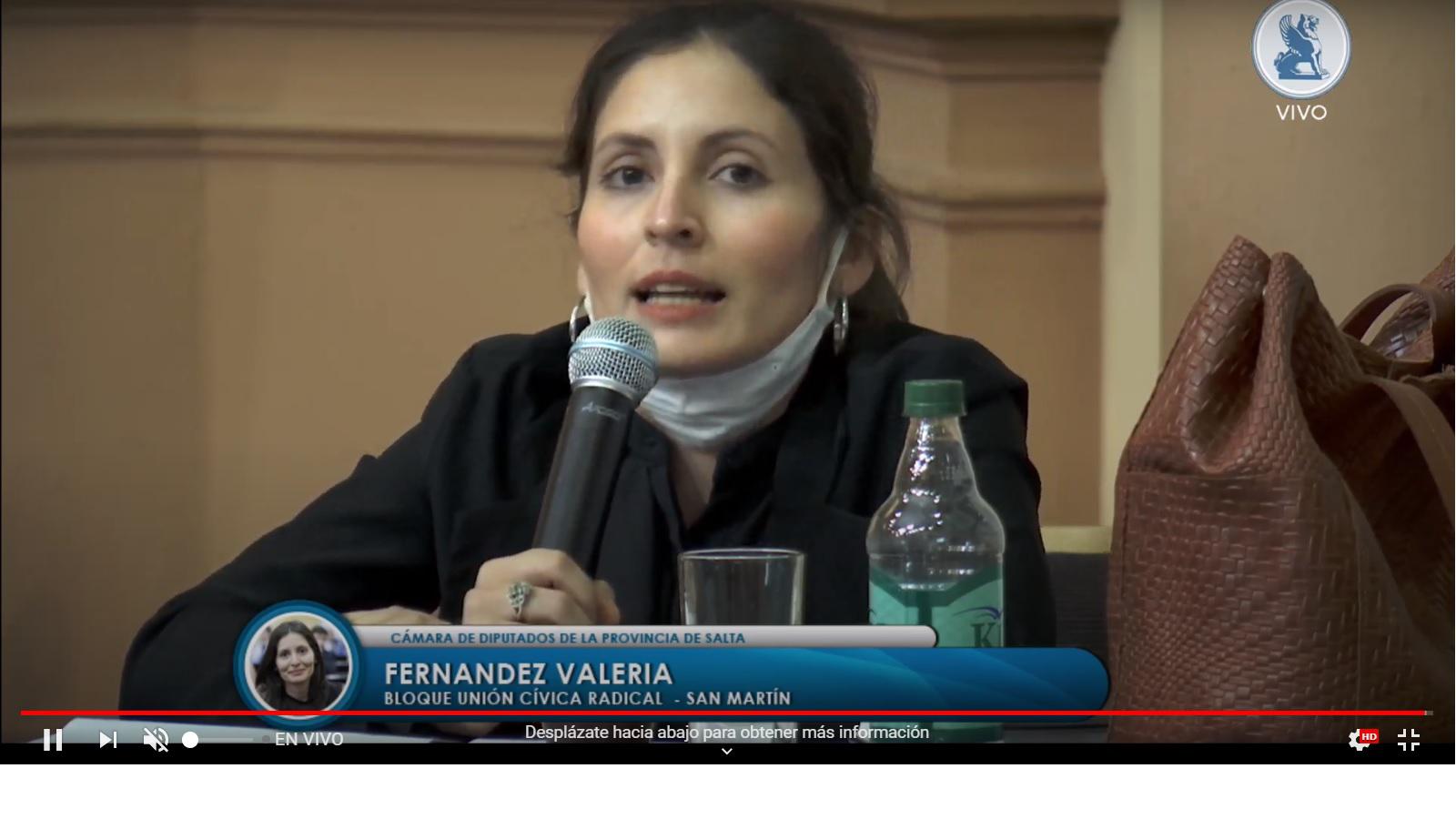 Proponen que se implemente la “ficha limpia” para las candidaturas